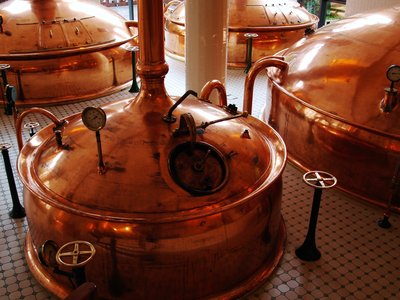 Koelen van bierproductie