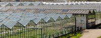 Warmtepomp voor tuinbouw